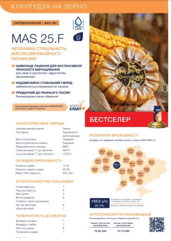 Рекламный плакат гибрида кукурузы МАС 250 Ф (MAS 25.F) с характеристиками и описанием сорта