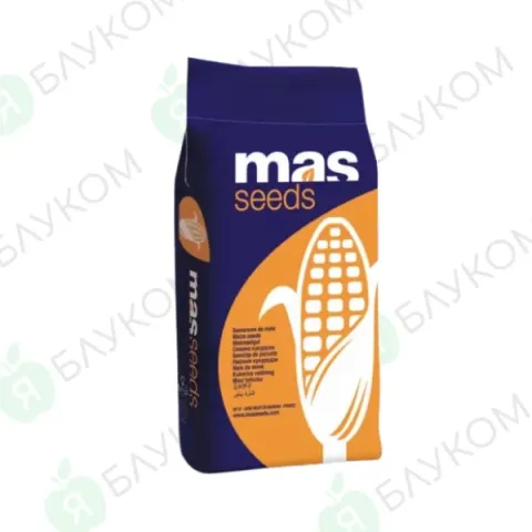Мешок семян кукурузы MAS 47P от бренда MAS Seeds - МАС 47П