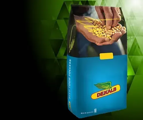 Упаковка насіння кукурудзи Dekalb Масфая