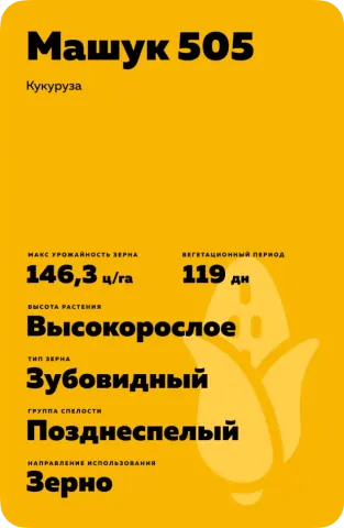 Желтый пакет с этикеткой «Машук 505» для кукурузы