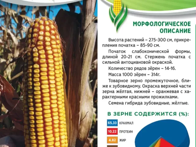 Михаил МВ