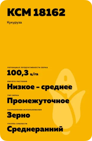 Желтый пакет с семенами кукурузы KCM 18162 - Музи КС
