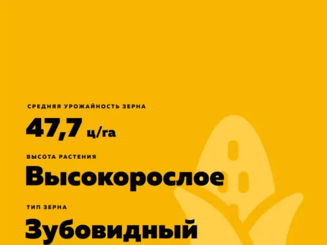 НС 402