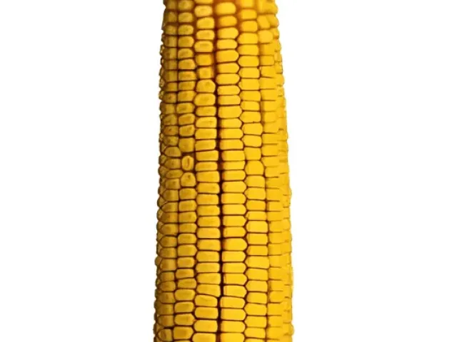 ОдМа 408 М
