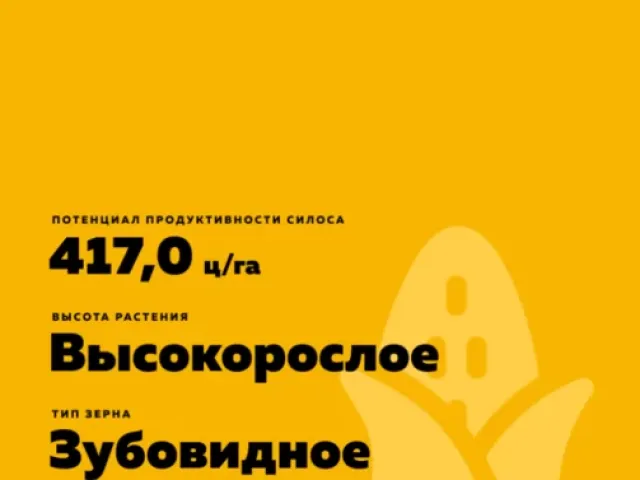 П 8888