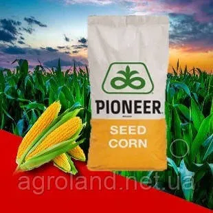 Bag of Pioneer corn seeds against a field background - P9975