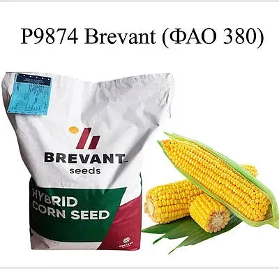 Мішок насіння кукурудзи P9874 Brevant від Brevant seeds - Р9874 / П9874