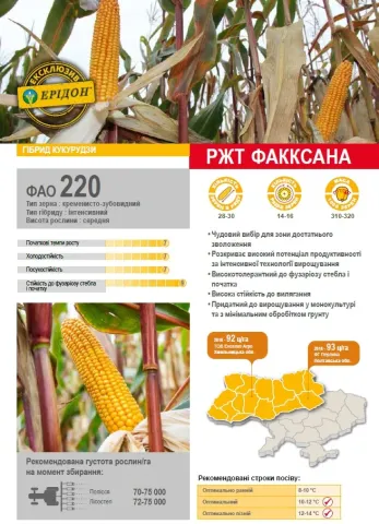 RGT FAXXANA corn seeds on packaging with ear illustrations