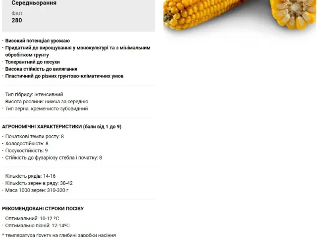 РЖТ Фероккси
