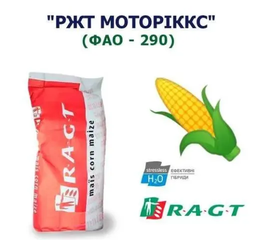 Мешок с кукурузой РЖТ МОТОРИККС (ФАО - 290)