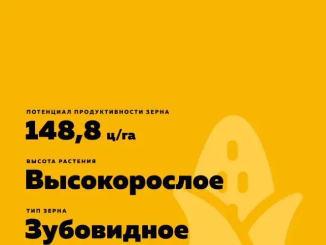 РЖТ Афикс