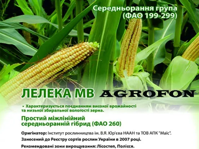 SAT 260 MV