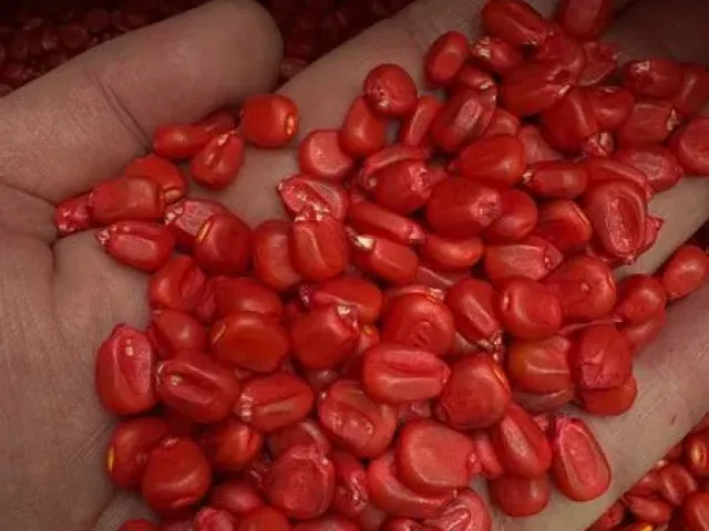 СИ Респект