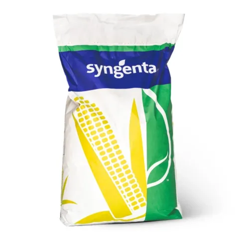 Bag of Syngenta corn seeds - SY Batanga
