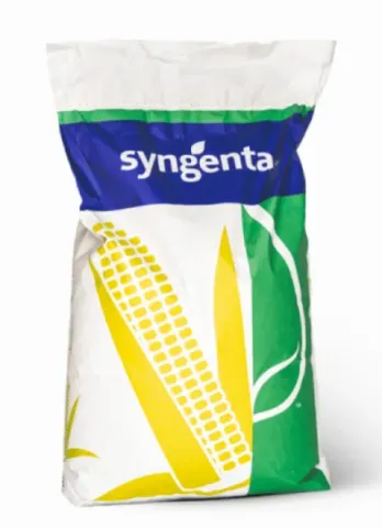 Syngenta corn seed bag with ear illustration - SY PANDORAS