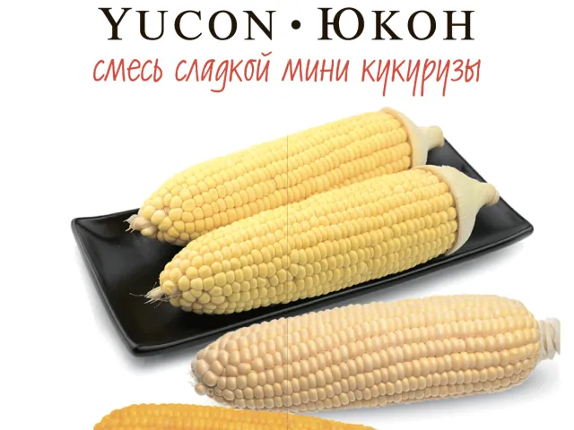 ЮНИ4211