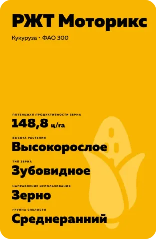 Пакет насіння кукурудзи РЖТ Моторикс - ЗПТК 111