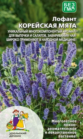 Пакет насіння Лопант Корейська Мята з зображенням квітучої рослини - Дачник