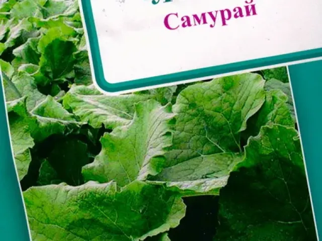 Самурай