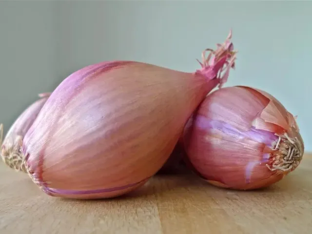 Андрейка