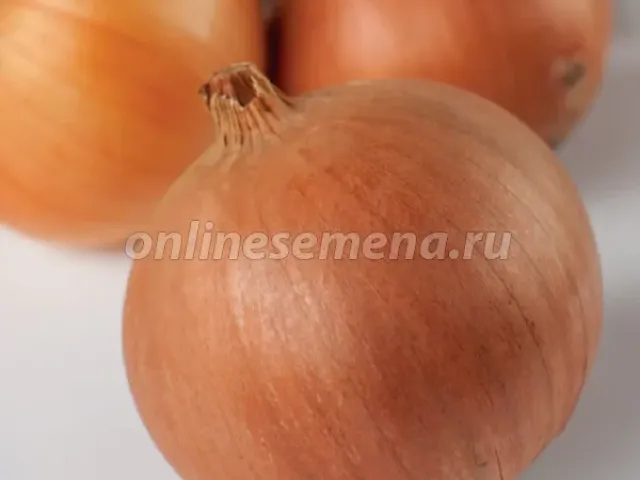 Денвер