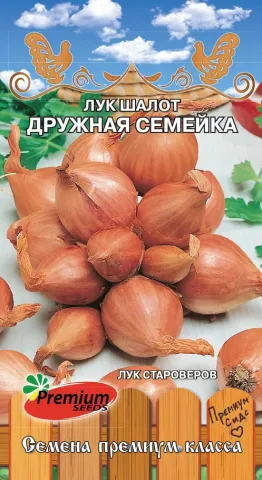 Onion seed packet Friendly Family - FRIENDLY COMPANY