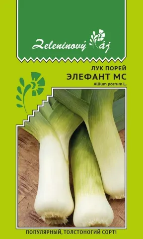 Пакет семян лука сорта ЭЛЕФАНТ МС