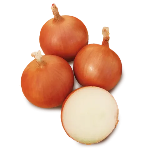 Fresh onion bulbs of the GARBEIO | GARBEIO variety