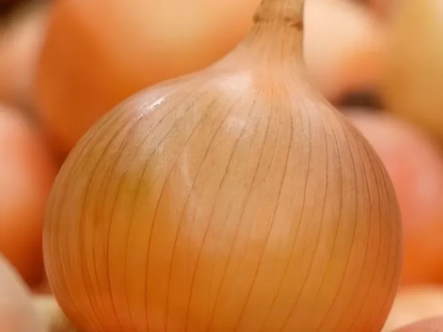 Хайтюн