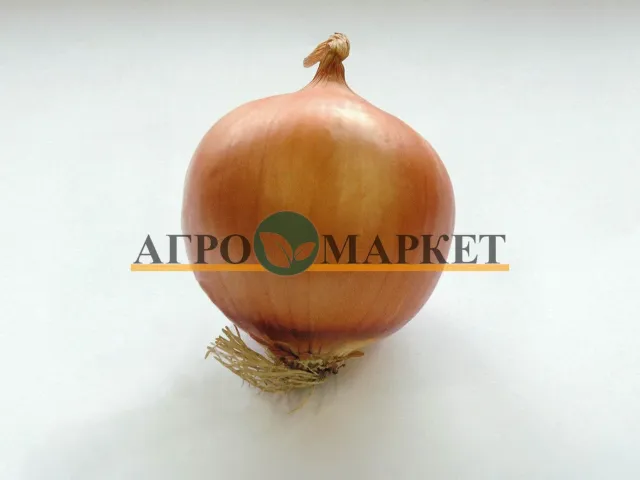 Ягро F1