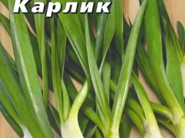 Карлик