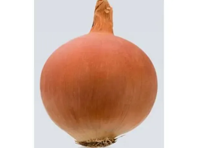 Леоне