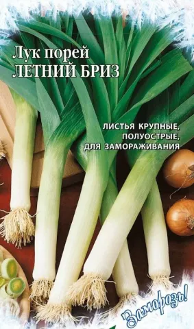Seed packet of leek SUMMER BREEZE