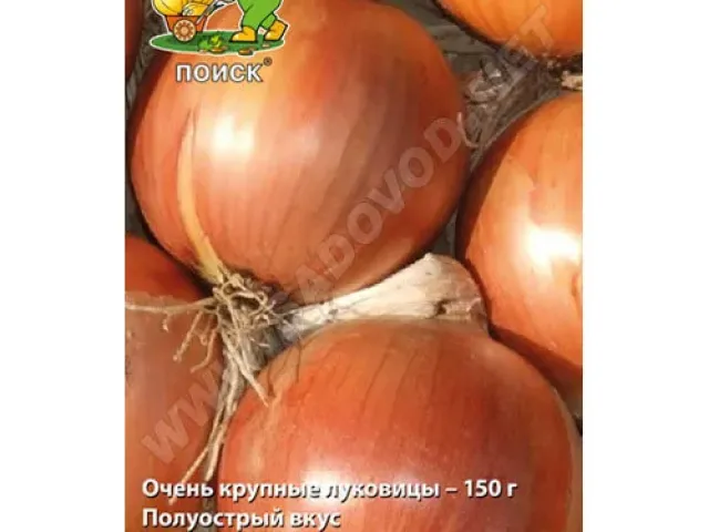 ПОШУК 012