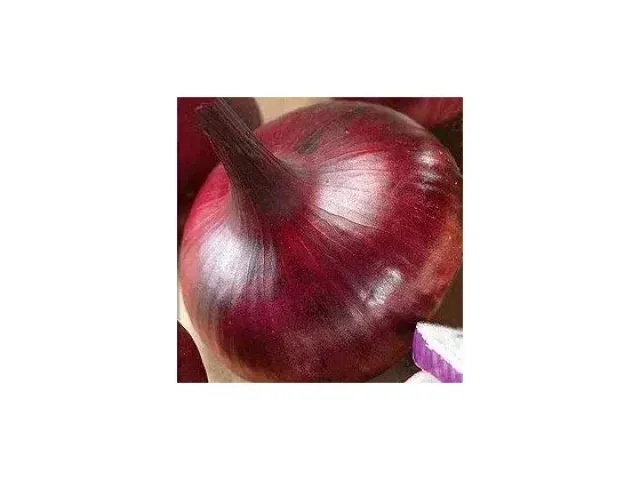 Retro