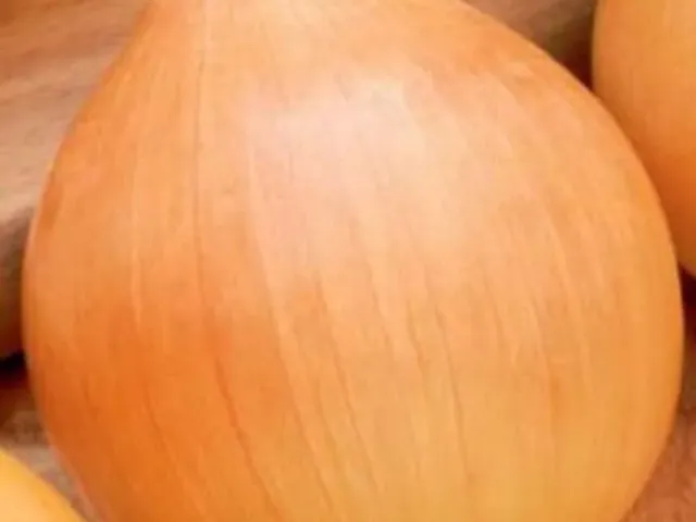 Сохачевська