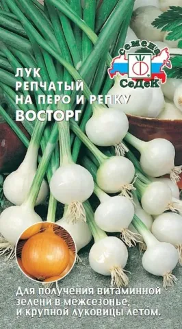 Пакет семян лука репчатого сорта Восторг