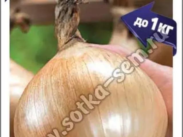 Золото Алтая