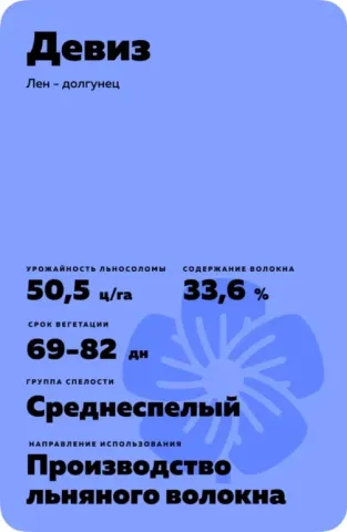 Инфографика с характеристиками сорта льна-долгунца «Девиз»