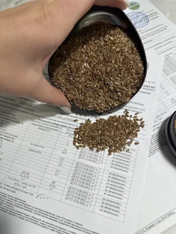 Flax seeds of the Zhuravka variety in a measuring cup against the background of a laboratory quality certificate.