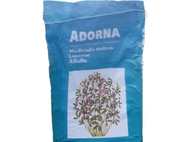 Адорна