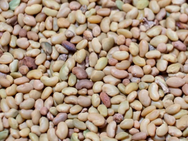Гюзель