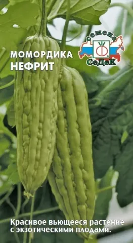 Momordica Jade seeds on a leaf background