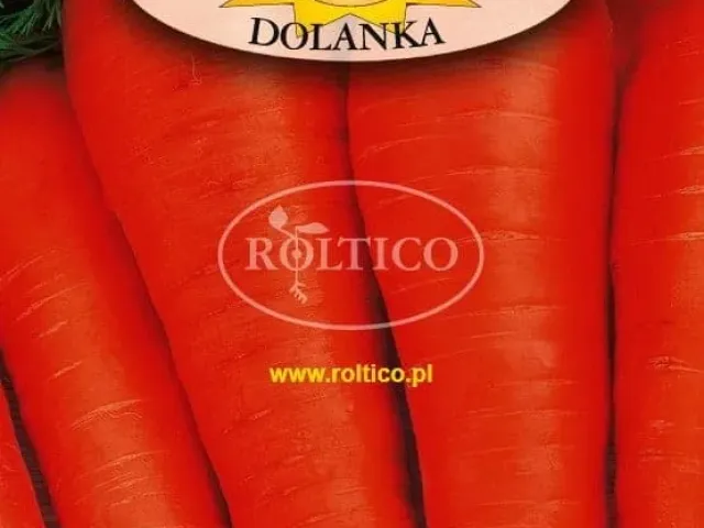 Dolyanka