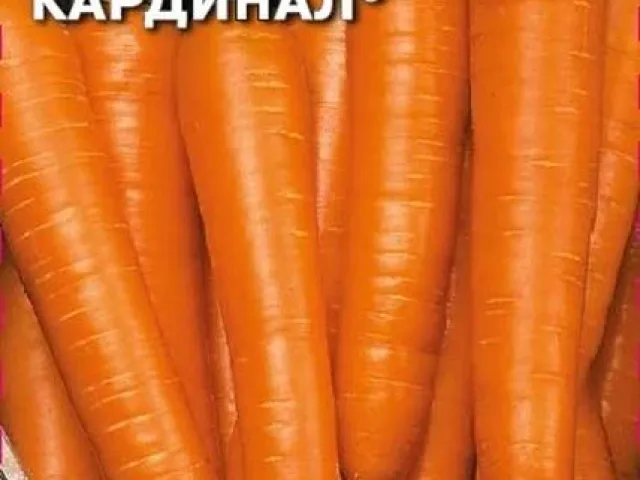 Кардинал