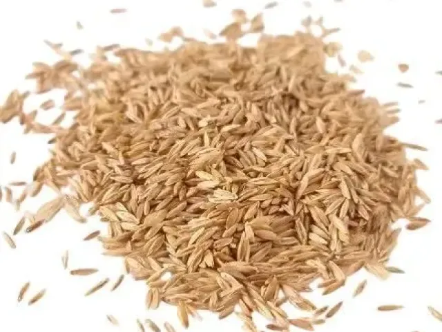 Esca