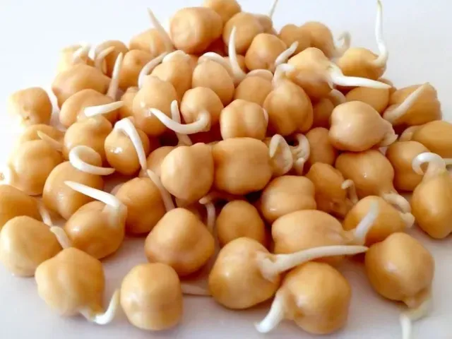 Розанна