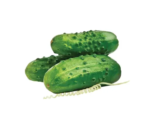Three cucumbers on a white background - 20 MD 818