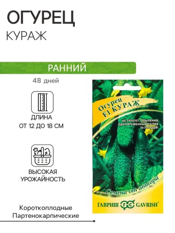 Cucumber seeds variety Kurazh, early, length 12-18 cm, high yield - Altair