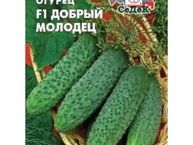Добрий Молодець